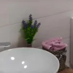 Apartment Little Stone House Buici (Dalmatia)